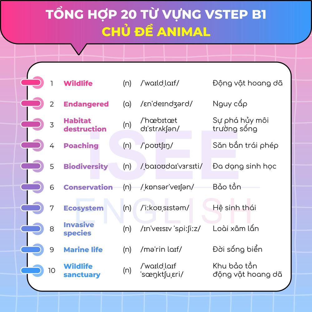 Từ vựng B2 Vstep có file PDF theo chủ đề